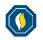 Dubai Natural Gas Company Limited